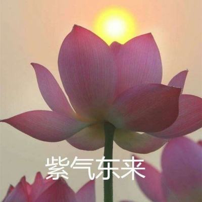 奇门手游九游版下载